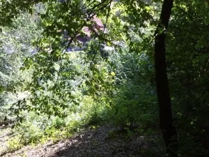 Dražba pozemku pro bydlení, Stará Paka, 1210 m2