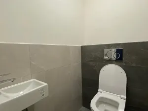 Pronájem bytu 3+kk, Strančice, Březová, 76 m2