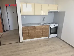 Prodej bytu 1+1, Orlová, Lesní, 38 m2