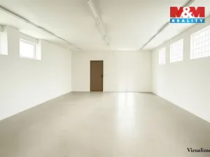 Prodej rodinného domu, Písek - Budějovické Předměstí, Tyršova, 315 m2