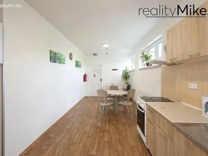 Pronájem ubytování, Dobrovice, 500 m2
