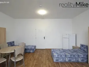 Pronájem ubytování, Dobrovice, 500 m2