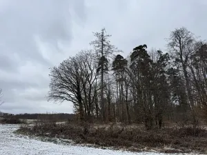 Dražba pole, Vyškov, 89174 m2