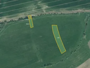 Prodej pole, Dnešice, 36083 m2