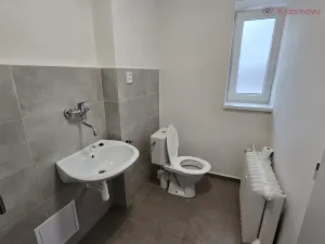 Pronájem bytu 1+1, Přerov, Purkyňova, 35 m2