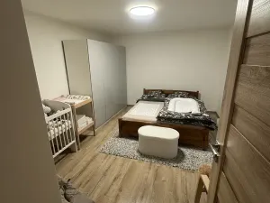 Pronájem bytu 3+kk, Frýdek-Místek, Maxe Švabinského, 65 m2