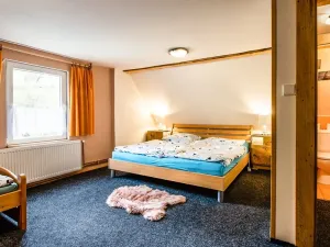 Prodej rodinného domu, Desná, Krkonošská, 380 m2