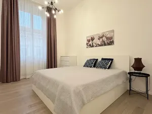 Pronájem bytu 2+1, Praha - Nové Město, Opletalova, 80 m2