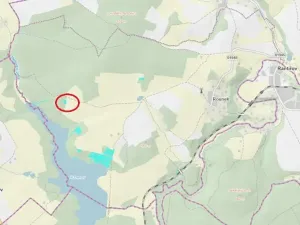 Prodej lesa, Vyskytná nad Jihlavou, 1283 m2