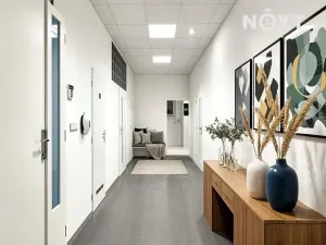 Pronájem kanceláře, Brno, Bezručova, 250 m2