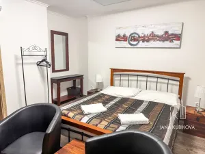 Pronájem ubytování, Valtice, Josefská, 251 m2