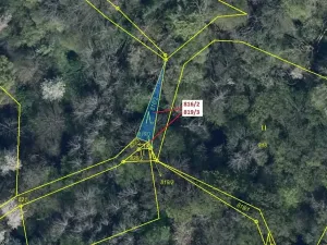 Dražba lesa, Zubrnice, 85 m2