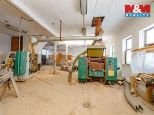 Pronájem výrobních prostor, Rychnov nad Kněžnou - Dlouhá Ves, 450 m2