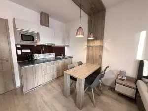 Prodej apartmánu, Dolní Morava, 54 m2