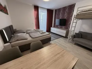 Prodej apartmánu, Dolní Morava, 54 m2