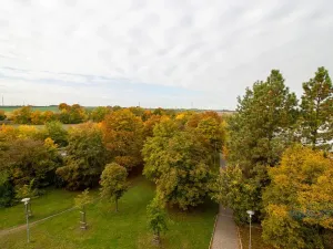 Prodej bytu 2+kk, Čelákovice, Tovární, 48 m2