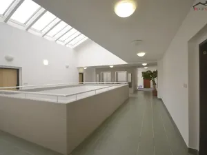 Pronájem bytu 3+kk, Brno, Majdalenky, 161 m2