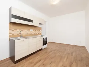 Pronájem bytu 1+1, Ostrava, Palackého, 41 m2