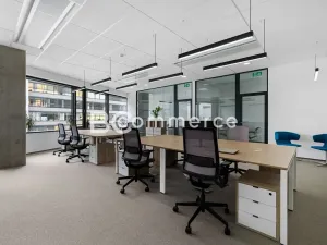 Pronájem kanceláře, Brno, 235 m2