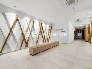 Pronájem kanceláře, Brno, 235 m2