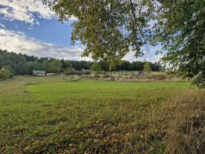 Prodej pozemku pro bydlení, Cehnice, 4046 m2