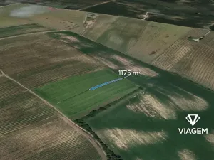 Prodej pole, Prušánky, 1175 m2