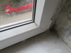 Dražba bytu 3+1, Dolní Rychnov, Hřbitovní, 75 m2