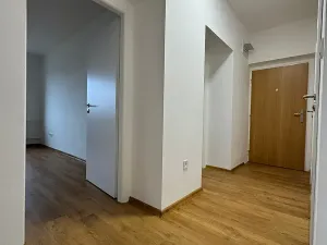 Pronájem bytu 3+1, Líté, 78 m2