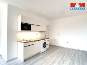 Pronájem bytu 1+kk, Praha, Pleštilova, 22 m2