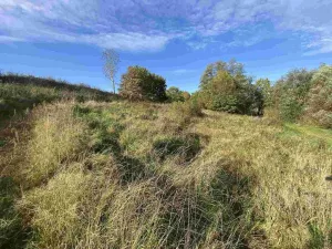 Prodej pole, Svijany, 1263 m2