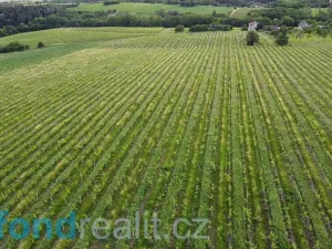 Prodej pozemku, Újezdec, 7374 m2