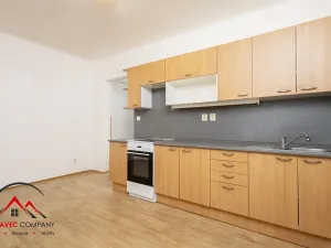 Pronájem bytu 1+1, Ostrava, Palackého, 41 m2