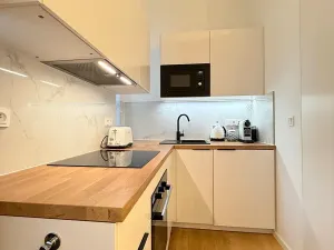 Pronájem bytu 2+kk, Praha - Vysočany, Prokopka, 53 m2