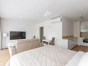 Pronájem bytu 1+kk, Brno, Lidická, 41 m2