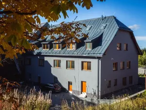 Prodej bytu 1+kk, Boží Dar, 33 m2