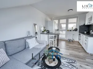 Pronájem bytu 1+kk, Olomouc, tř. Svornosti, 45 m2