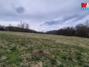 Prodej louky, Česká Kamenice - Dolní Kamenice, 22628 m2