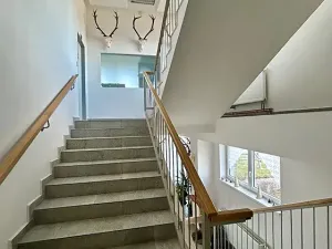 Prodej obchodního prostoru, Bystřice pod Hostýnem, Holešovská, 1592 m2