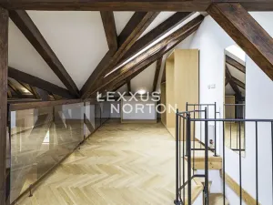 Pronájem bytu 4+1, Praha - Vinohrady, Ibsenova, 282 m2