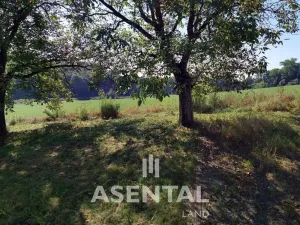 Prodej pole, Ostrava - Slezská Ostrava, Zvěřinská, 44468 m2