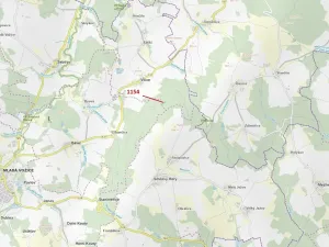 Dražba lesa, Vilice, 2384 m2