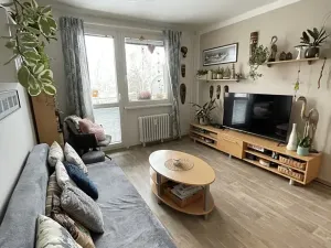 Prodej bytu 3+1, Týniště nad Orlicí, Vrchlického, 70 m2