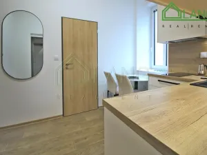 Pronájem bytu 1+1, Brno, Koliště, 24 m2