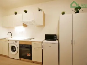 Pronájem bytu 1+kk, Brno, Francouzská, 21 m2