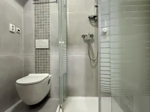 Pronájem bytu 2+kk, Plzeň, Kardinála Berana, 43 m2