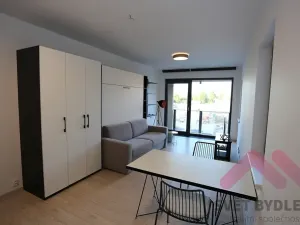 Pronájem bytu 1+kk, Praha - Karlín, U Mlýnského kanálu, 40 m2
