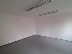 Pronájem komerční nemovitosti, Lužany, 50 m2