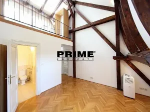 Pronájem bytu 4+1, Praha - Vinohrady, Ibsenova, 282 m2