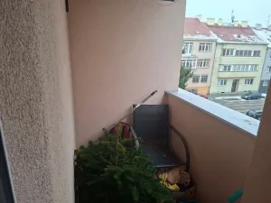 Prodej bytu 2+1, Brno, Purkyňova, 60 m2