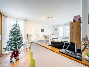 Prodej bytu 3+1, Lásenice, 60 m2